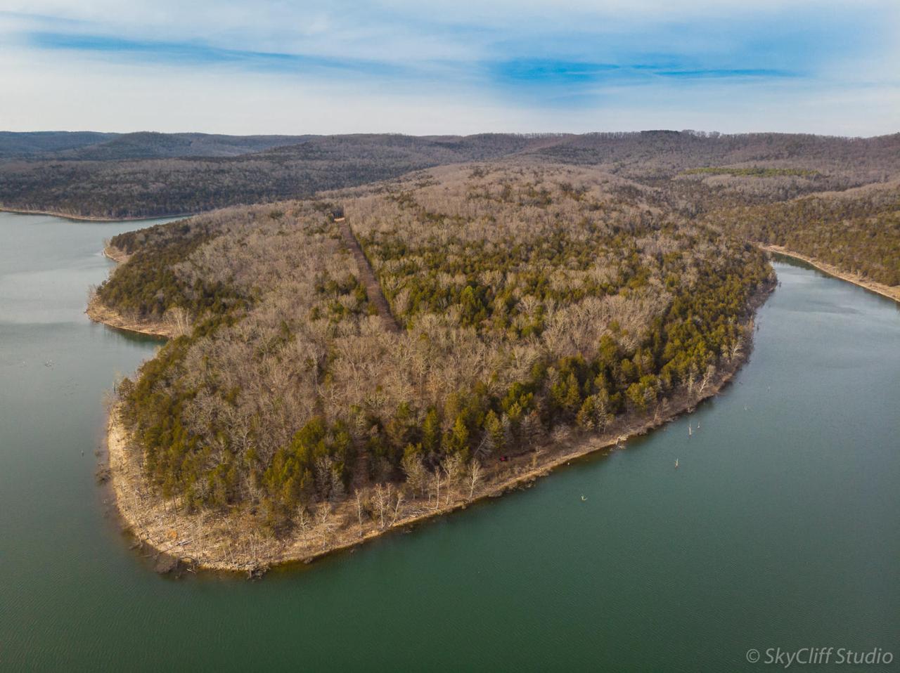 Tbd 277 Ac Stallion Bluff Road - Photo 1