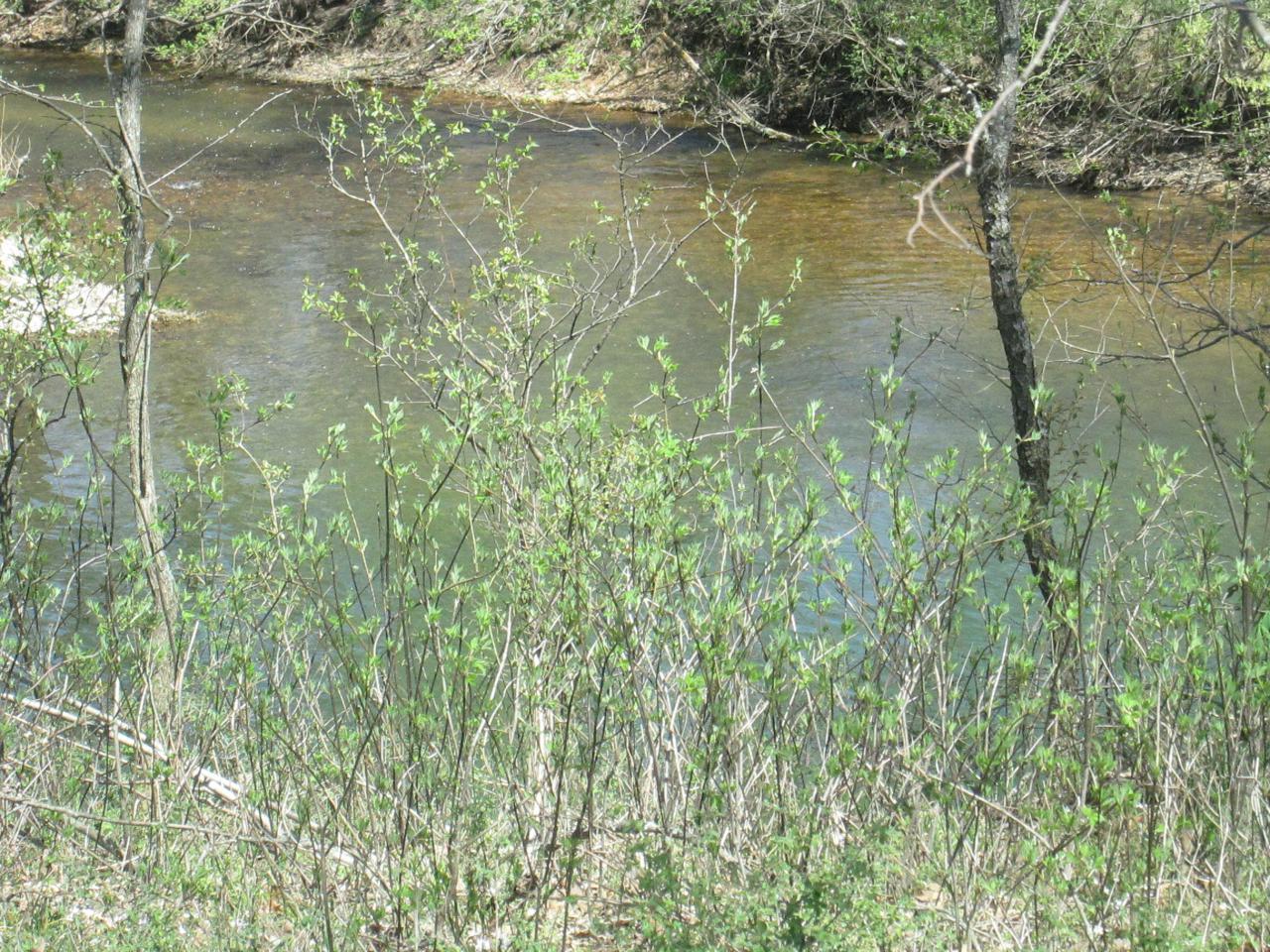 Tbd Highway 63 North - Photo 1
