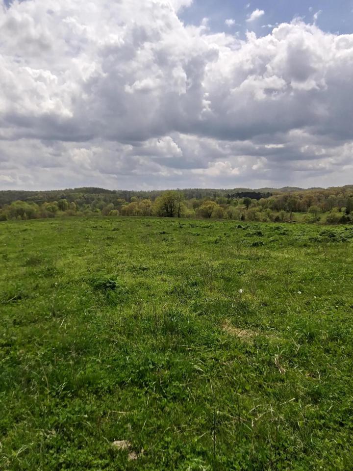 000 Litlle Creek Road - Photo 1
