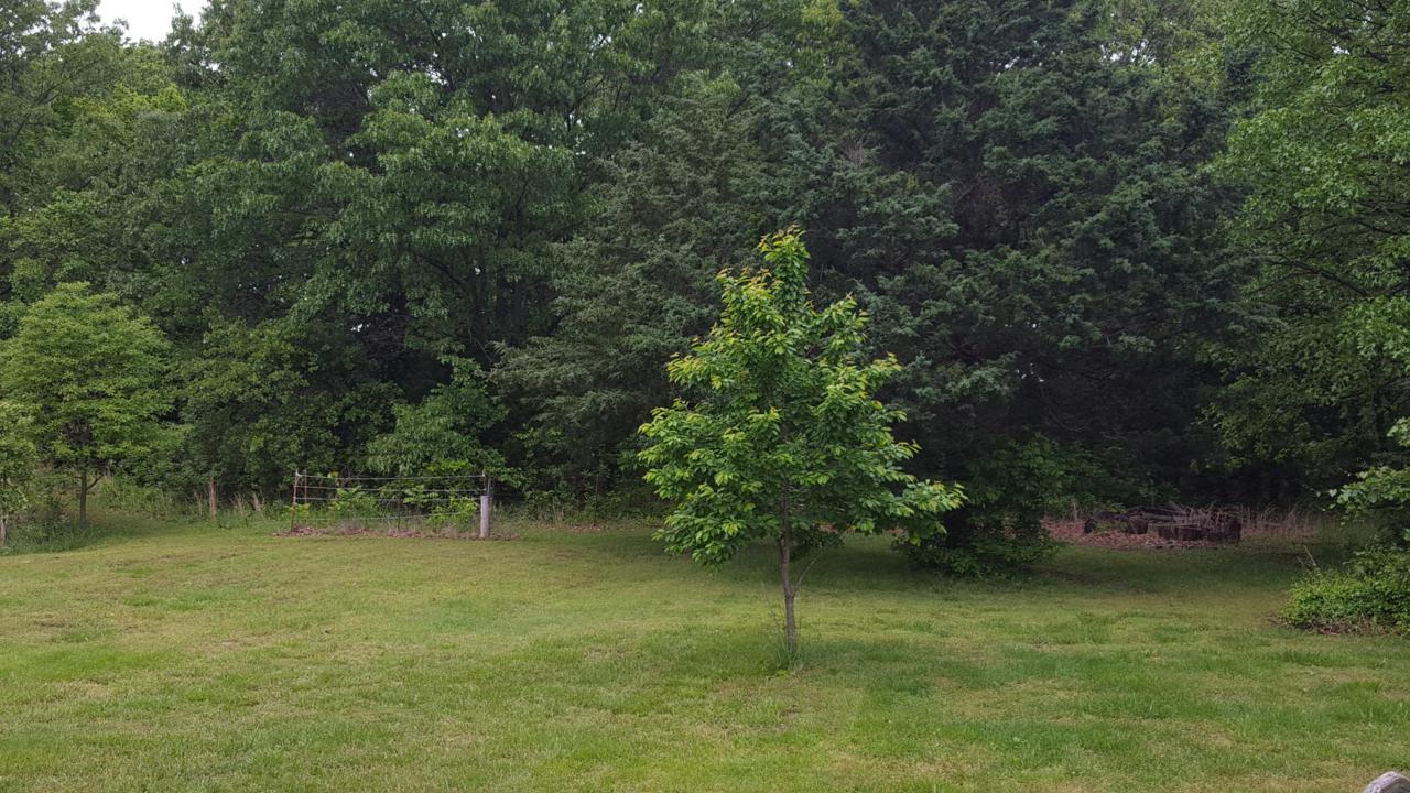 7594 Westview Rd - Photo 1