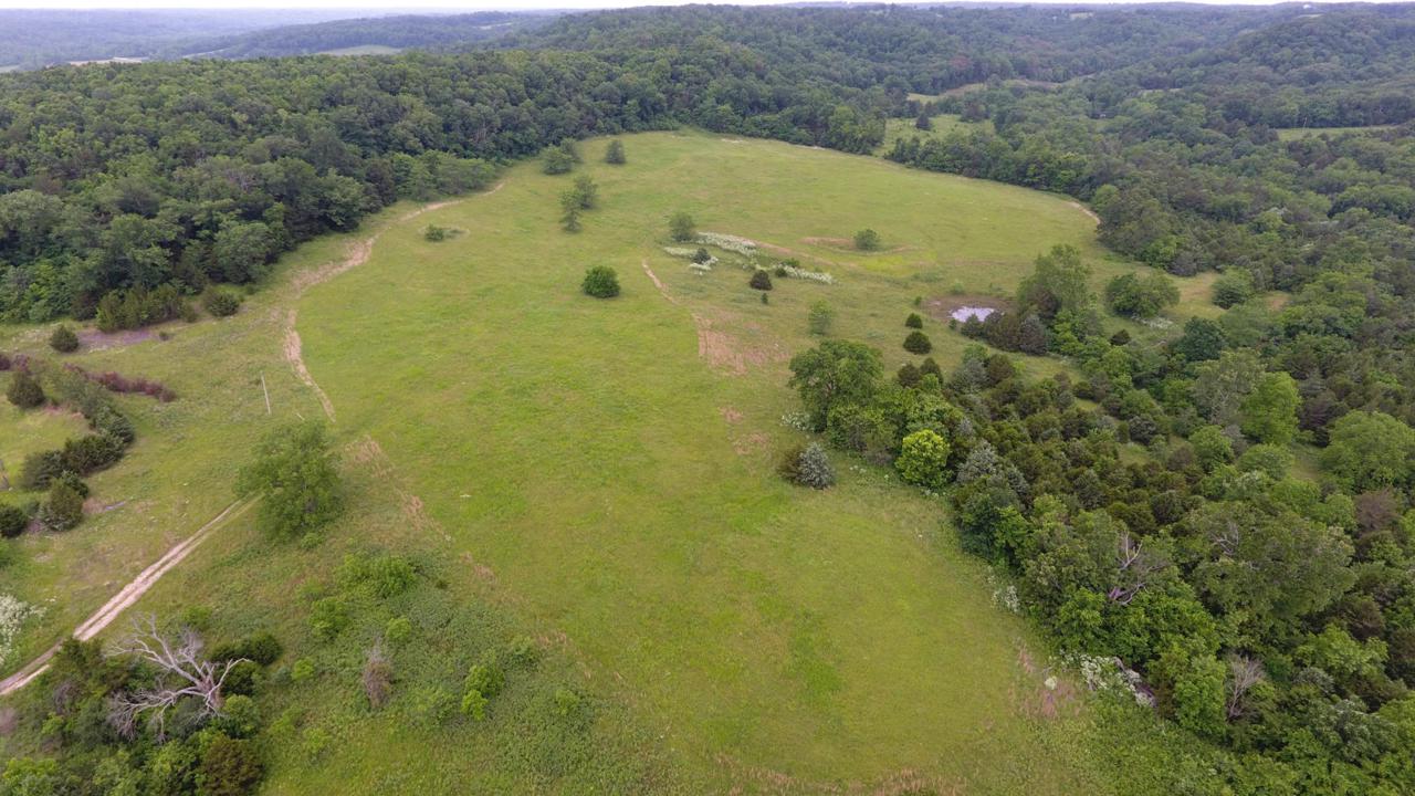 381 Shaddox Lane - Photo 1