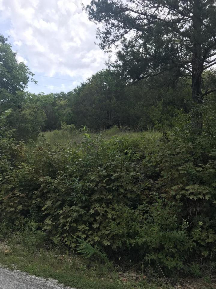 Lot 93 Hallie Drive - Photo 1