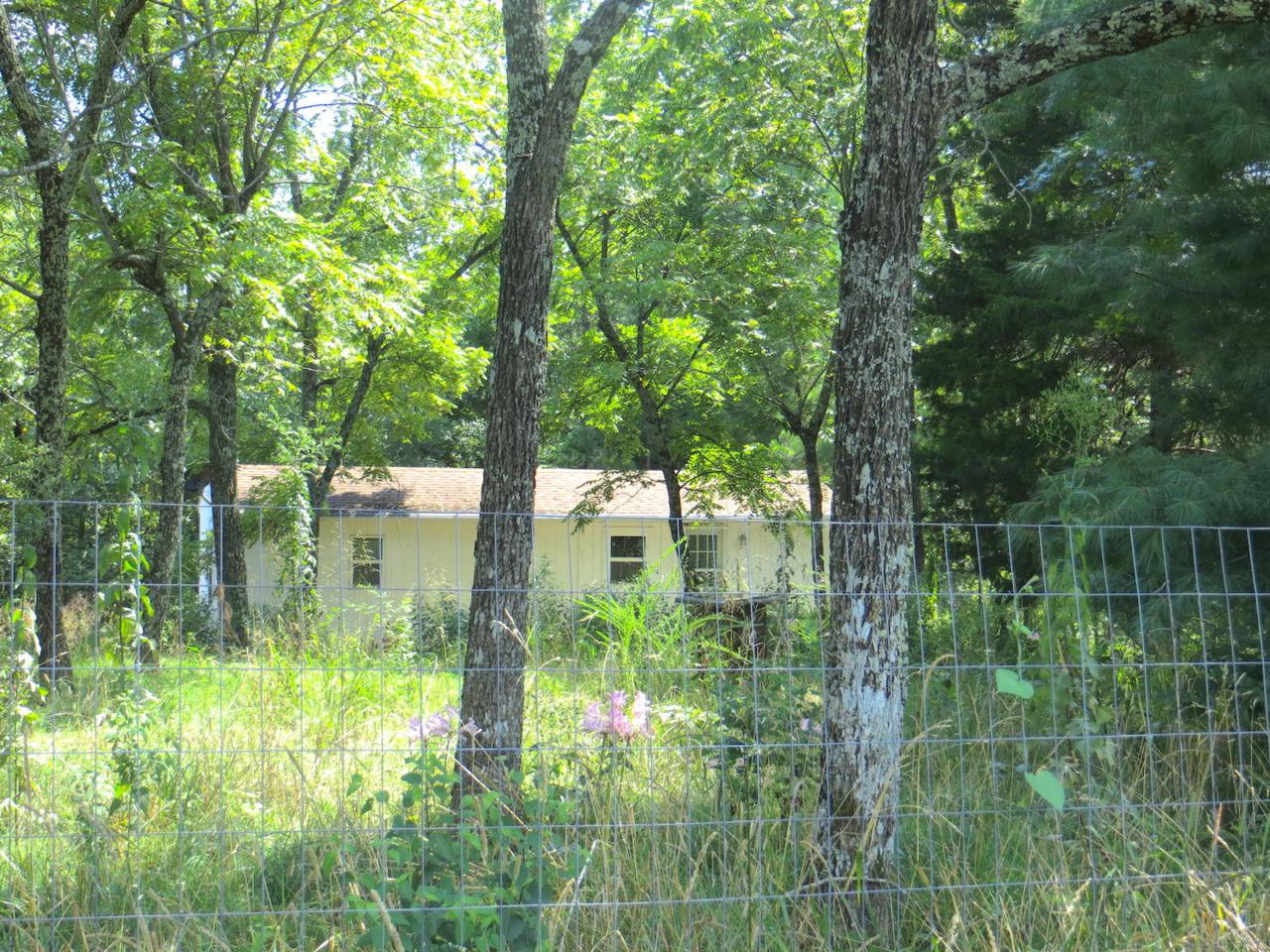 Private Road Off County Road 219 - Photo 1