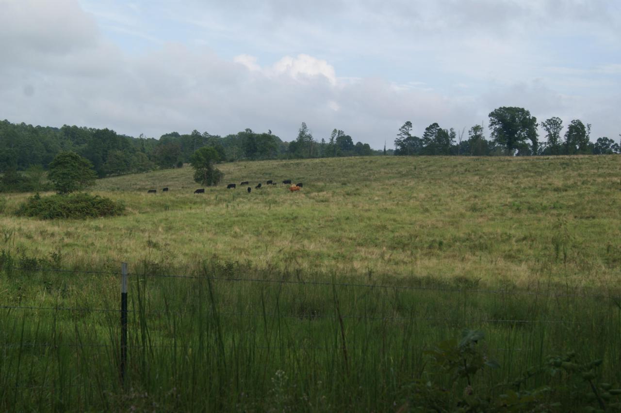 Tbd County Road Zz-479 - Photo 1