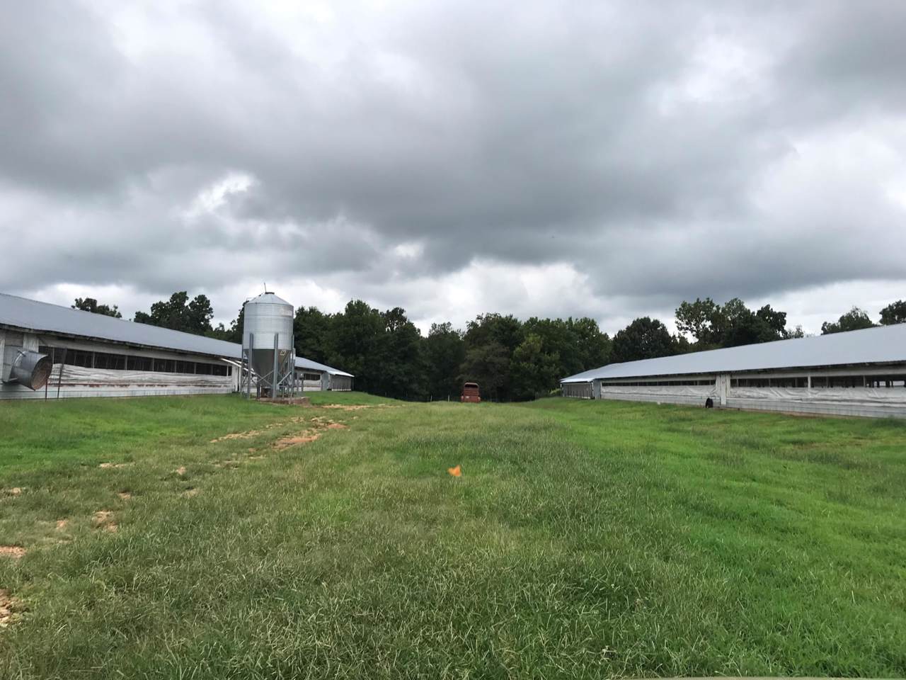23649 Highway D - Photo 1