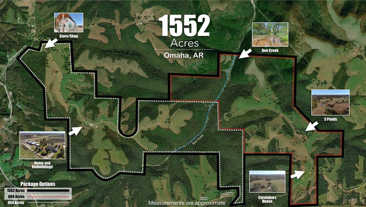 14075 Bee Creek Road - Photo 1