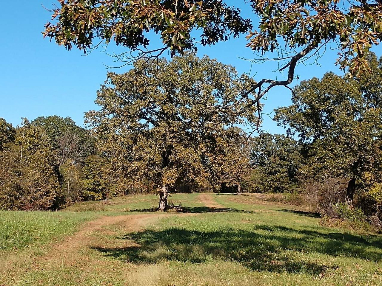 Tbd Covered Bridge Rd (20 Acres) - Photo 1