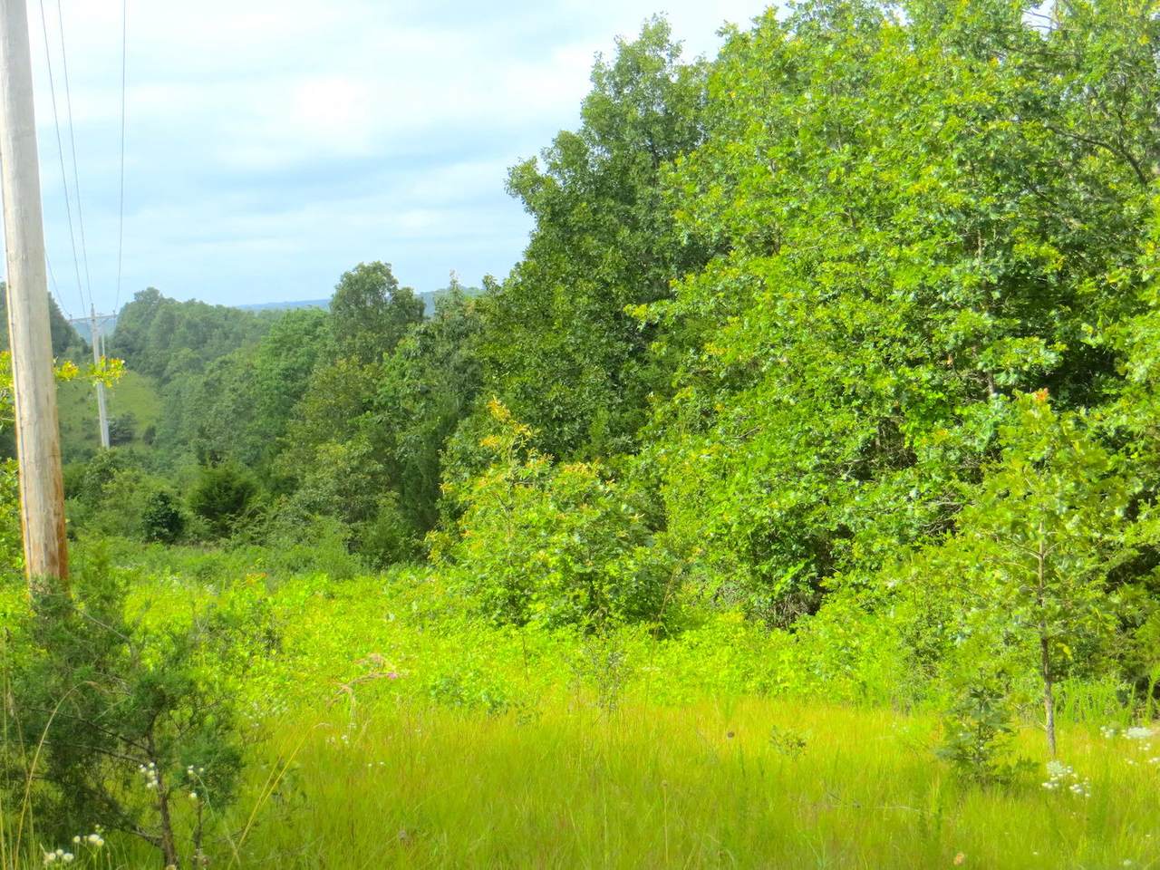 000 Bayou Access Road - Photo 1