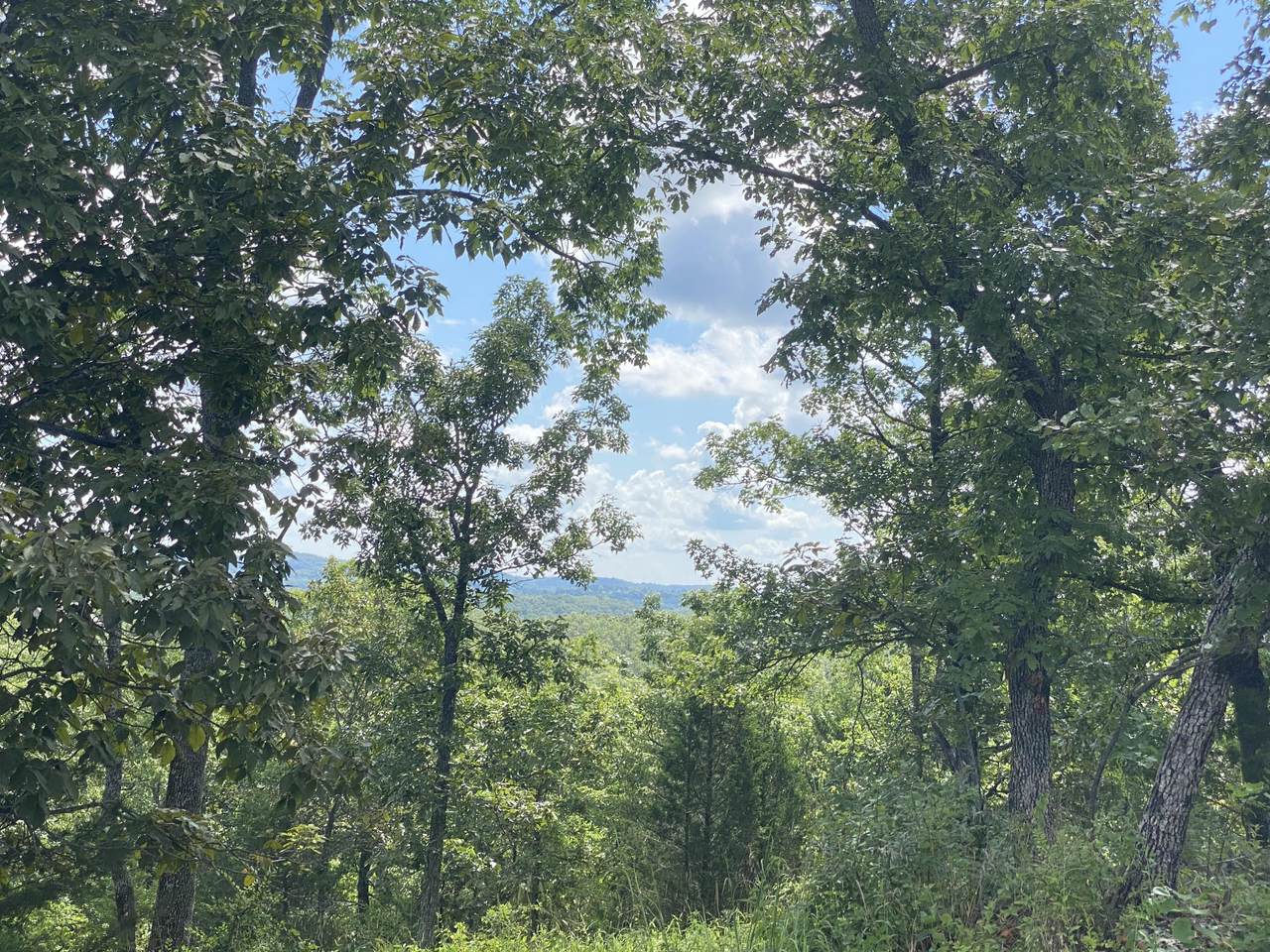 Lot 112 Black Forest Lane - Photo 1