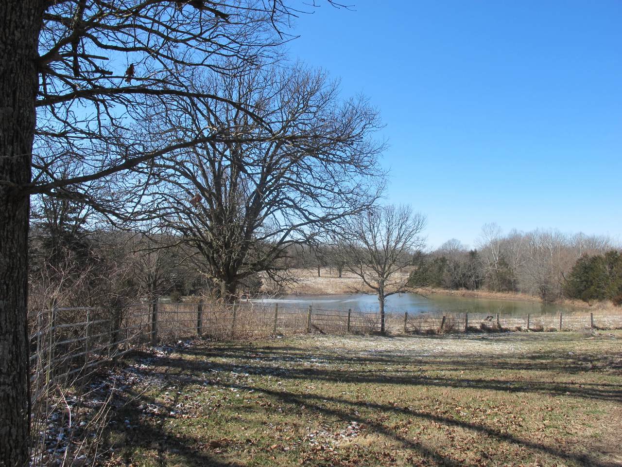 Tract-1 Rocksdale Road - Photo 1
