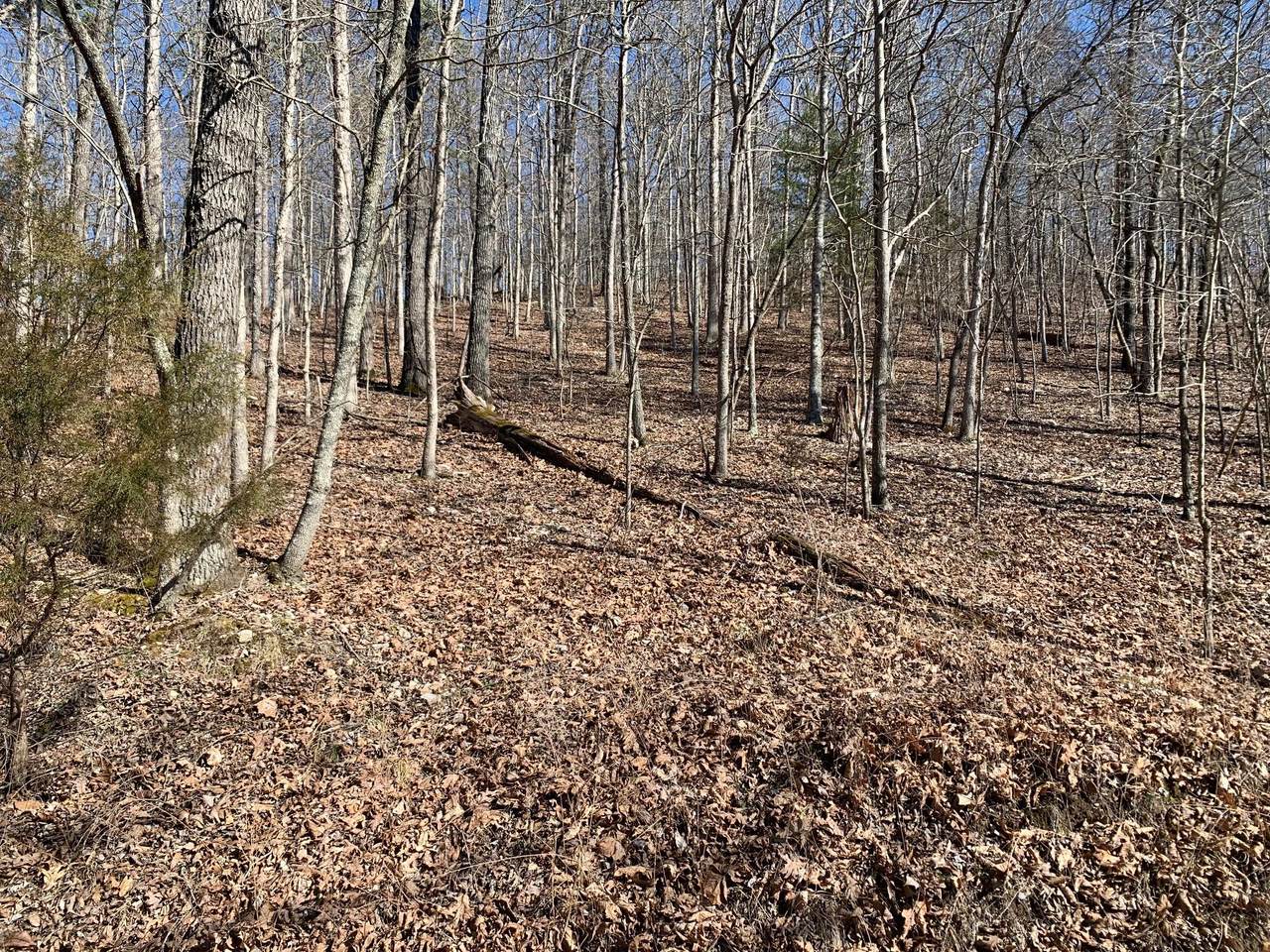 000 Cabin Road - Photo 1