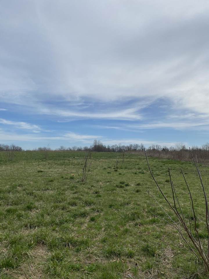 000-Tbd Us Highway 160 - Photo 1
