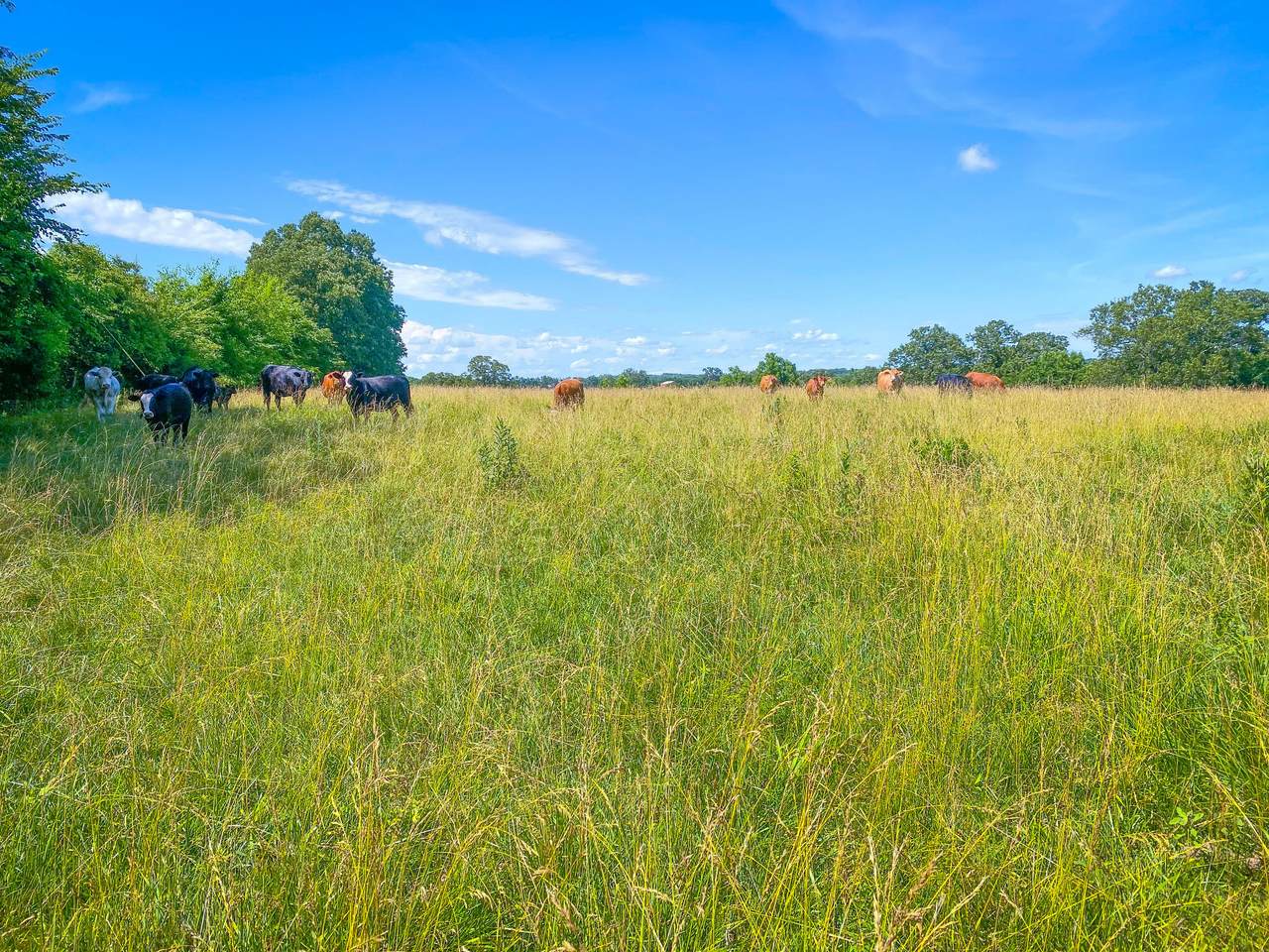 3652 120th Road - Photo 1