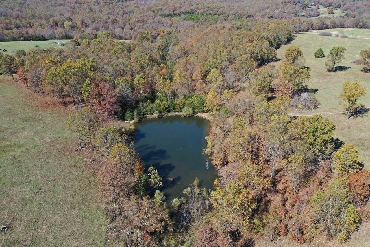 Tbd Douglas County Road - Photo 1