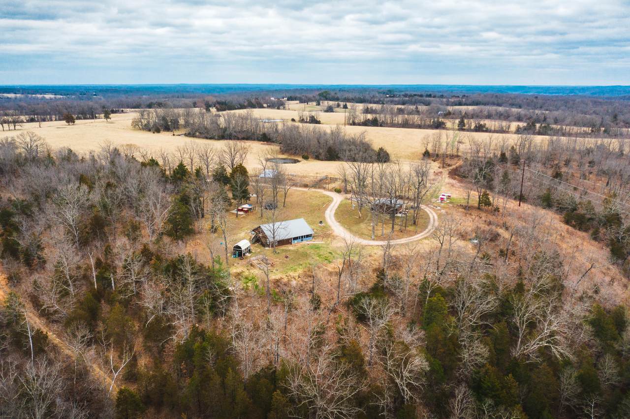 32883 Maries Road 504 - Photo 1