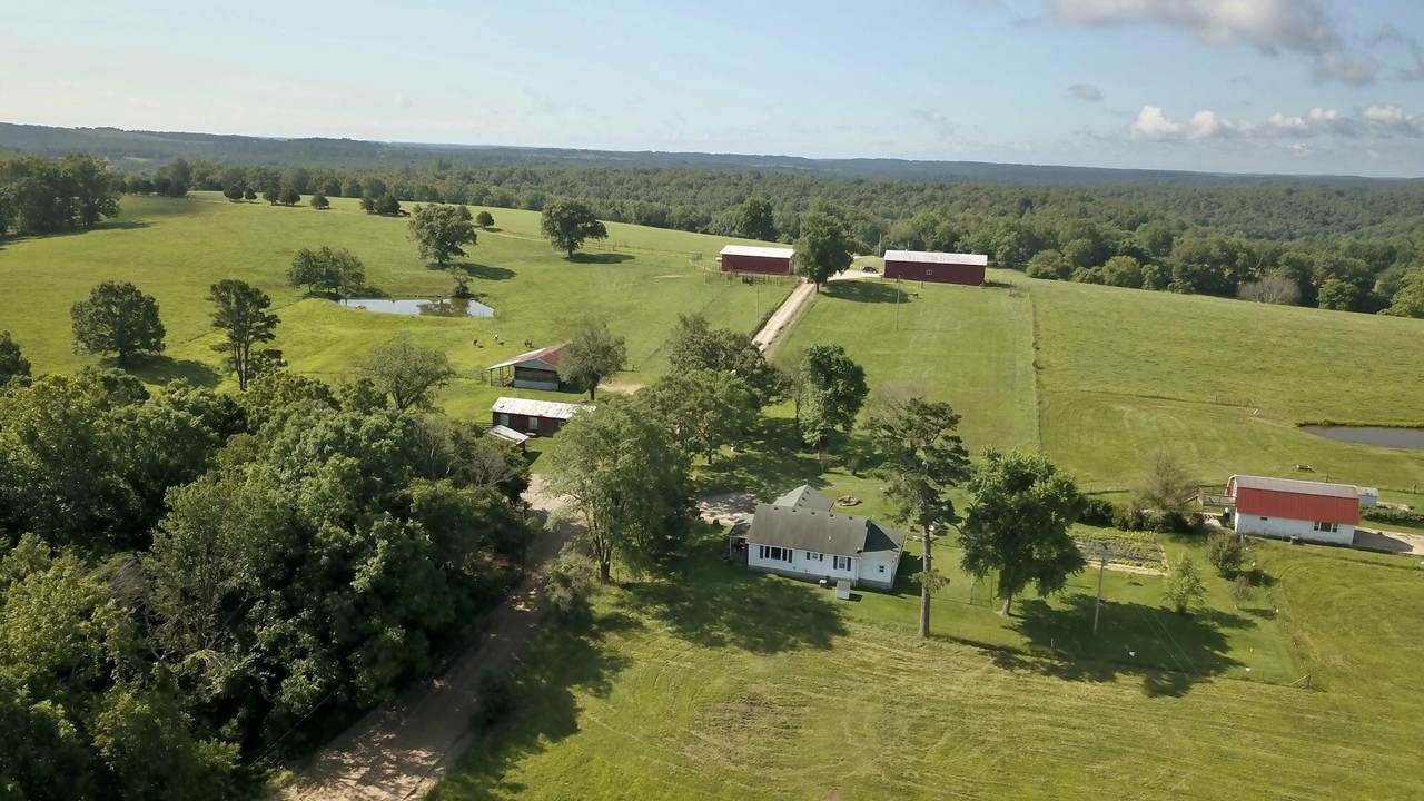 242 County Road 338 - Photo 1