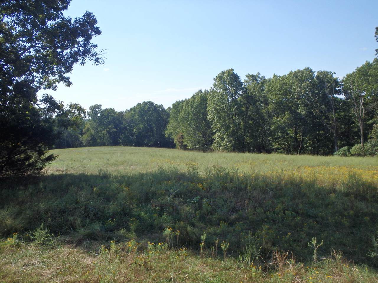 3040 Dogwood Tree Road - Photo 1
