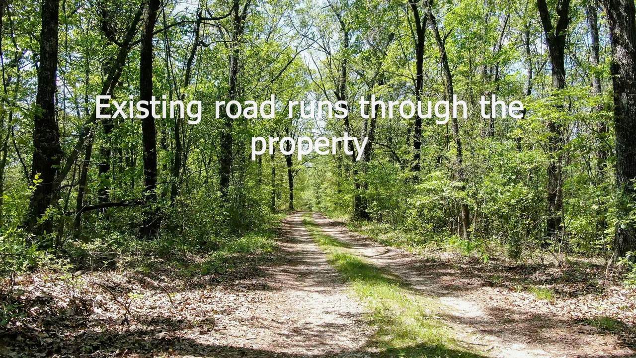 Tracts 1-3 Dogwood Hills Estates - Photo 1