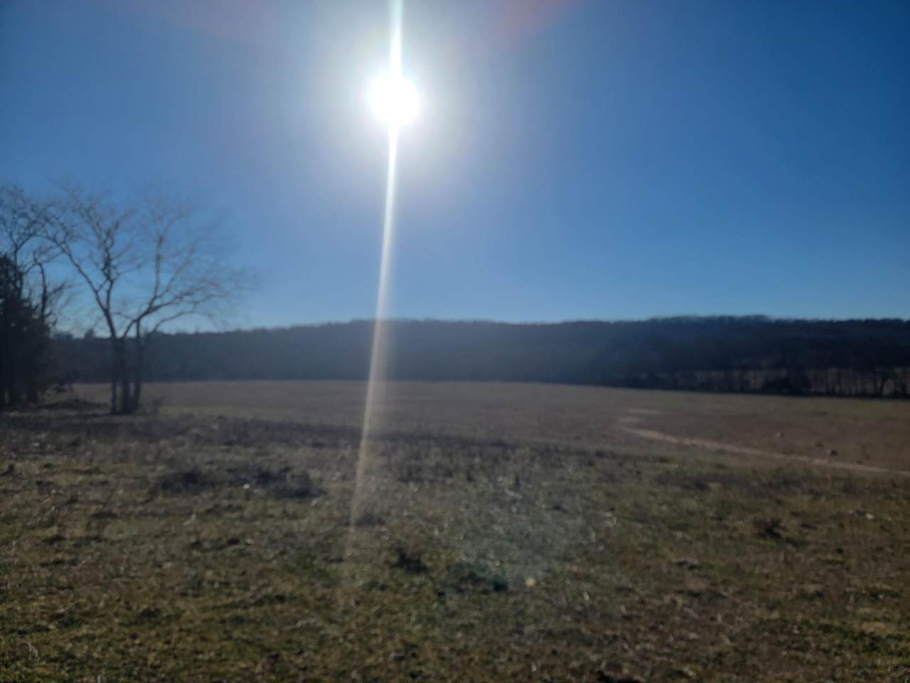 12879 State Highway O - Photo 1