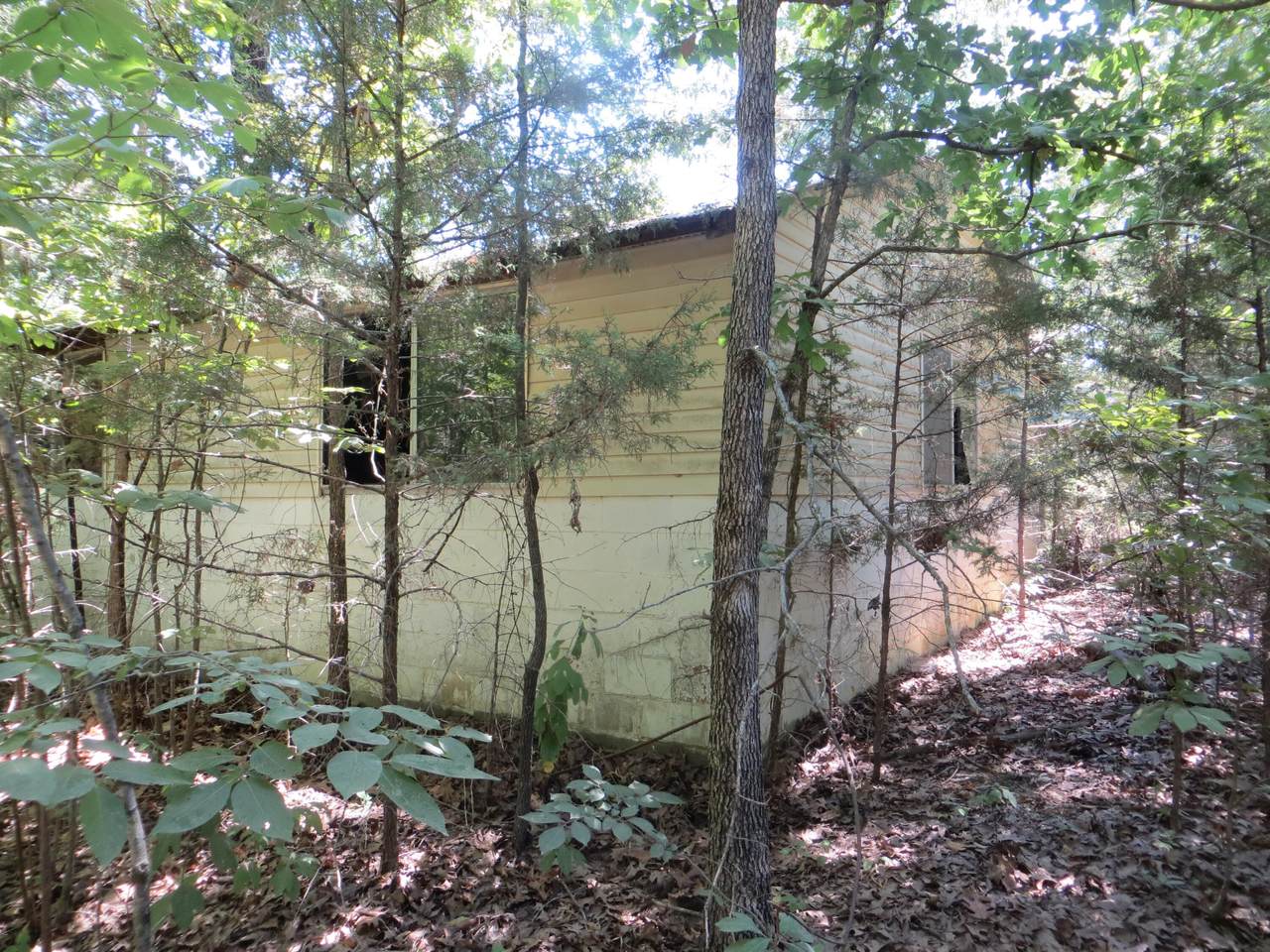 000 Bayou Access Road - Photo 1