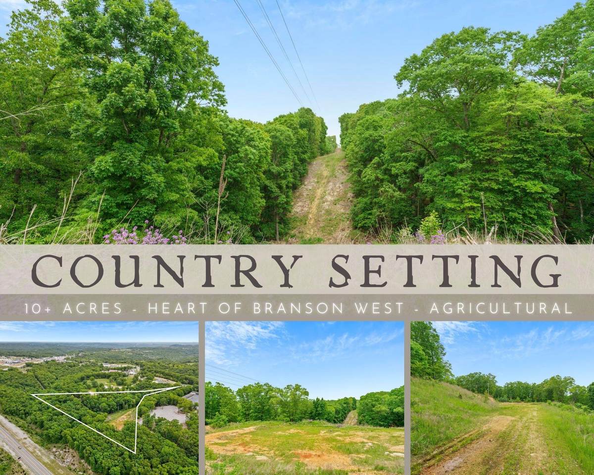10.52 Acre Crevis Road - Photo 1