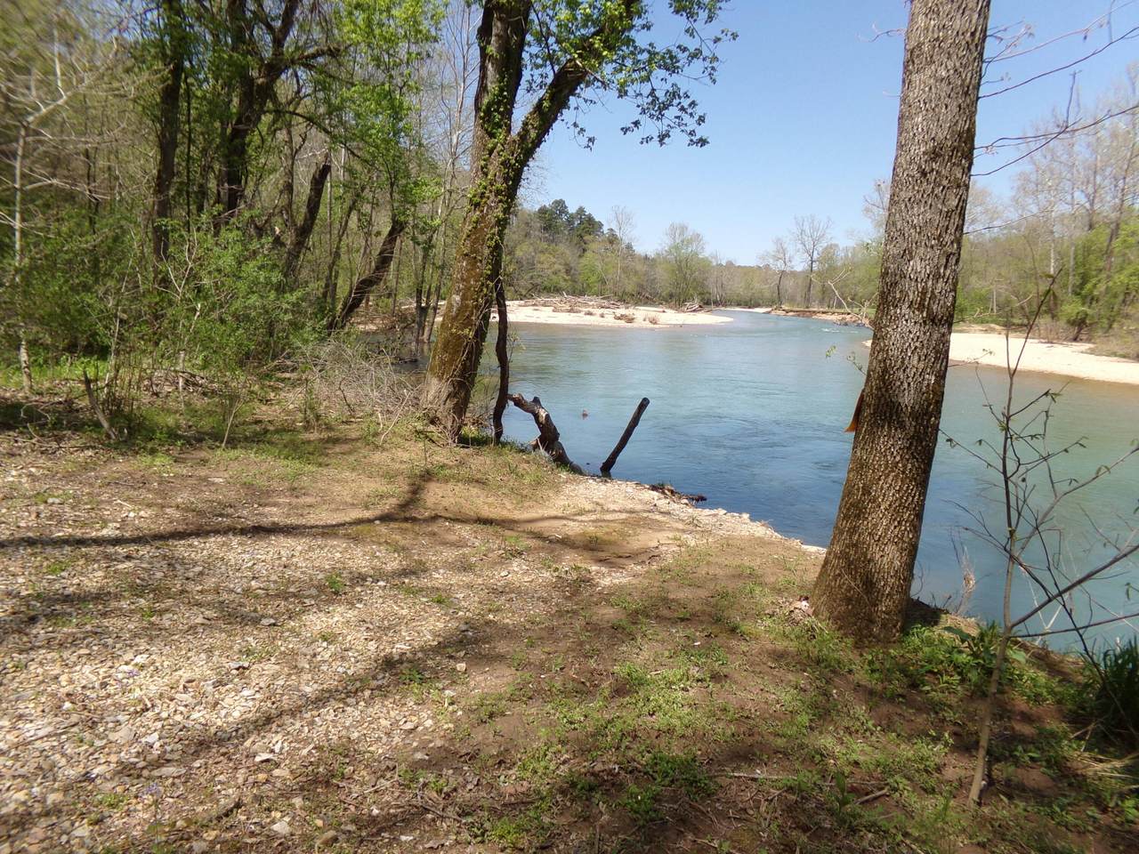 651 Pine Hill Rd - Photo 1