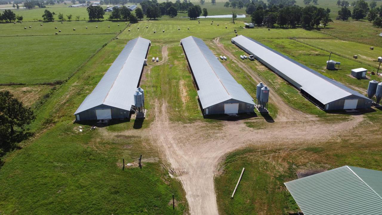 254 Shetland Road - Photo 1