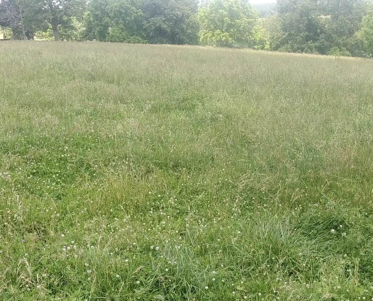 000 County Road 5580 - Photo 1