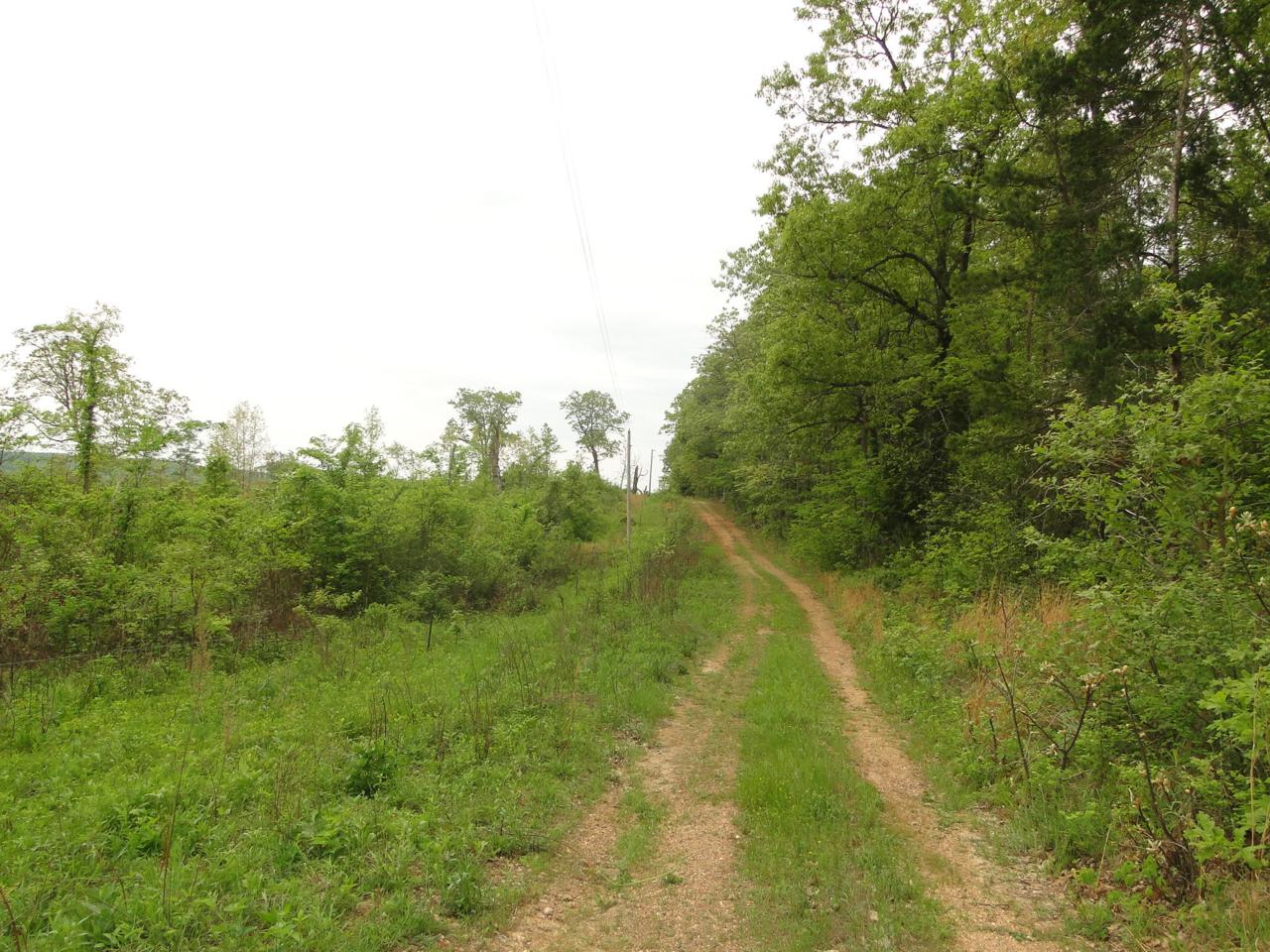 County Road E-76 232 - Photo 1