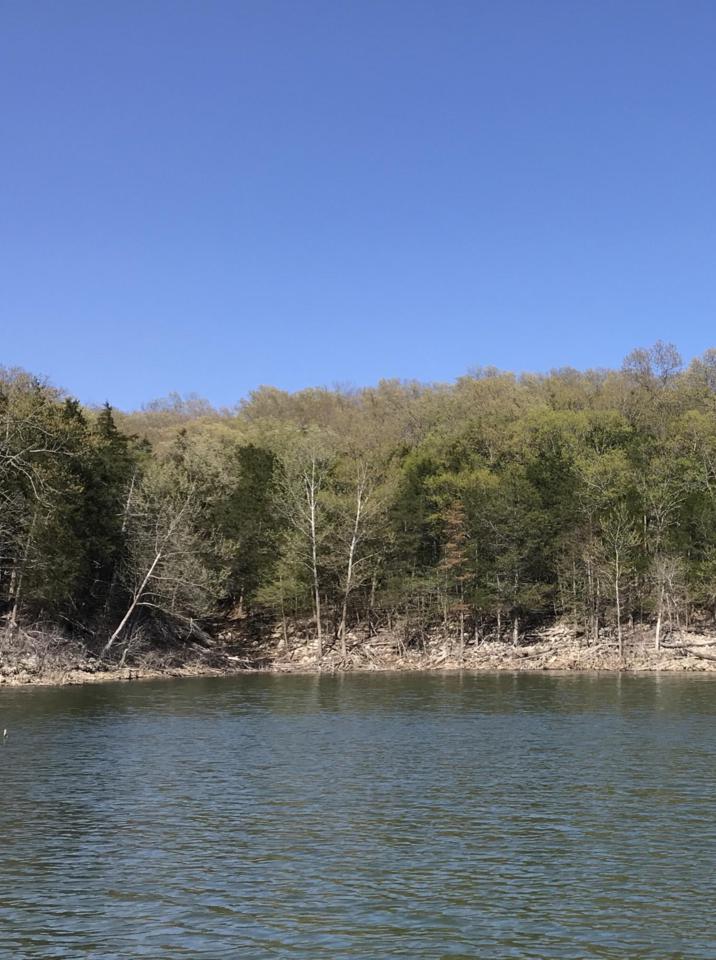 Tbd Farm Road 1247 - Photo 1