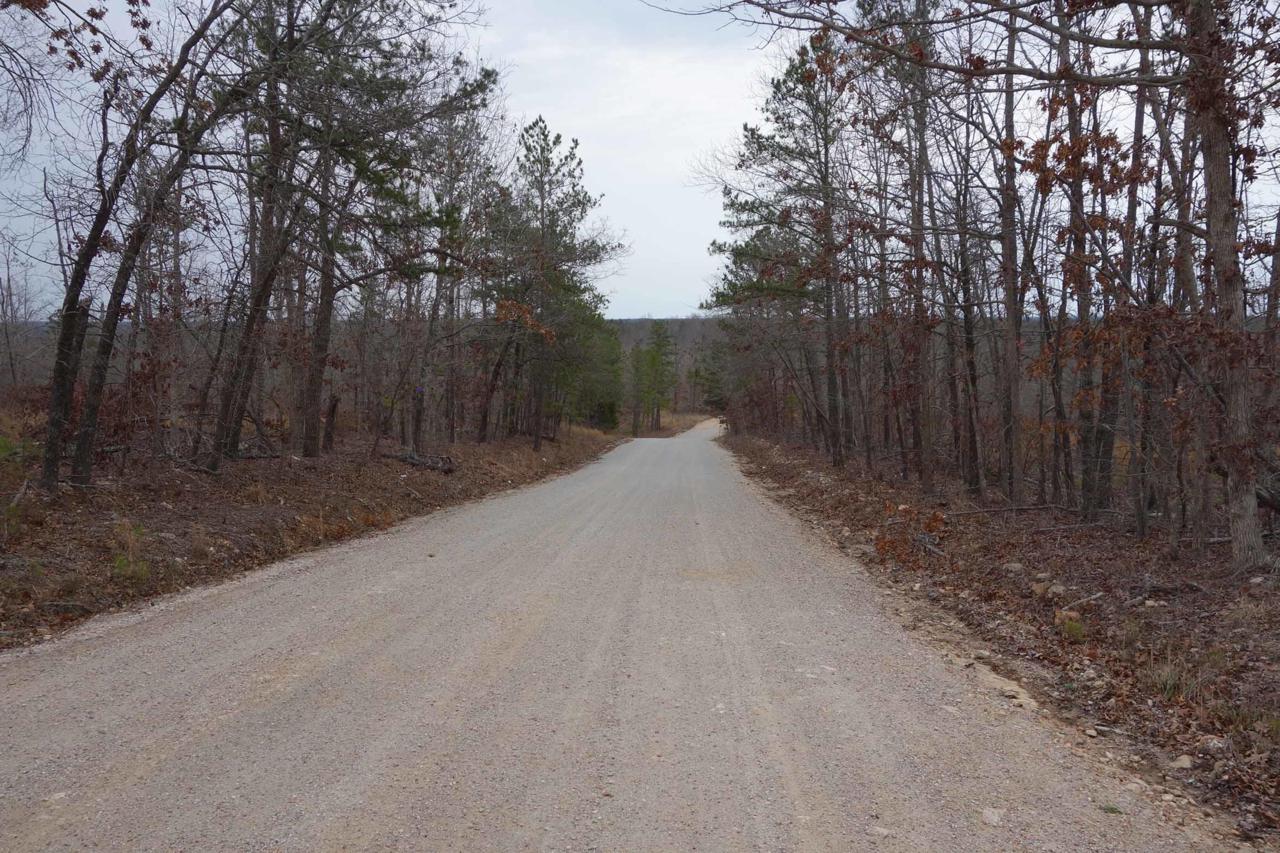 Tbd Tract 1 Timberhill Road - Photo 1