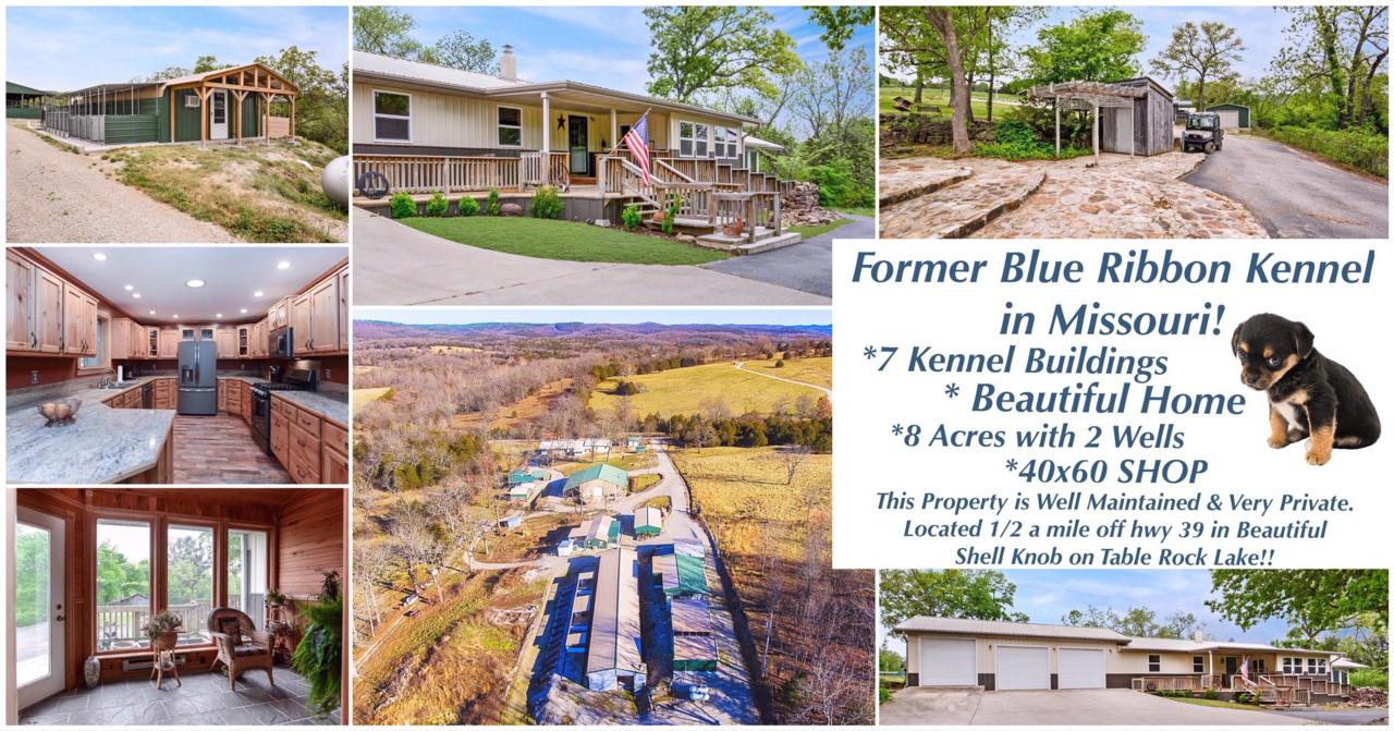 19305 Stallion Bluff Road - Photo 1