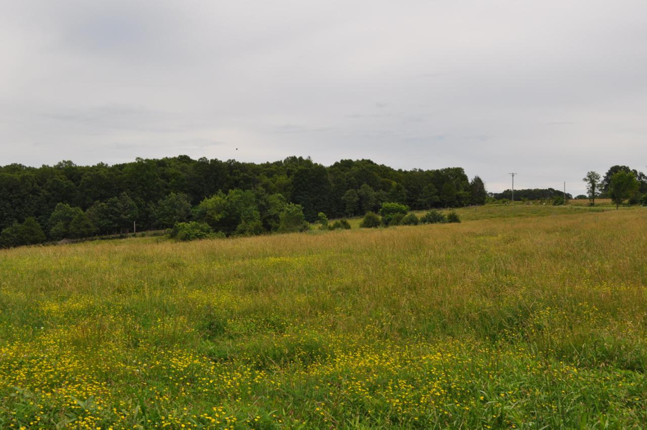33401 Highway 32 - Photo 1
