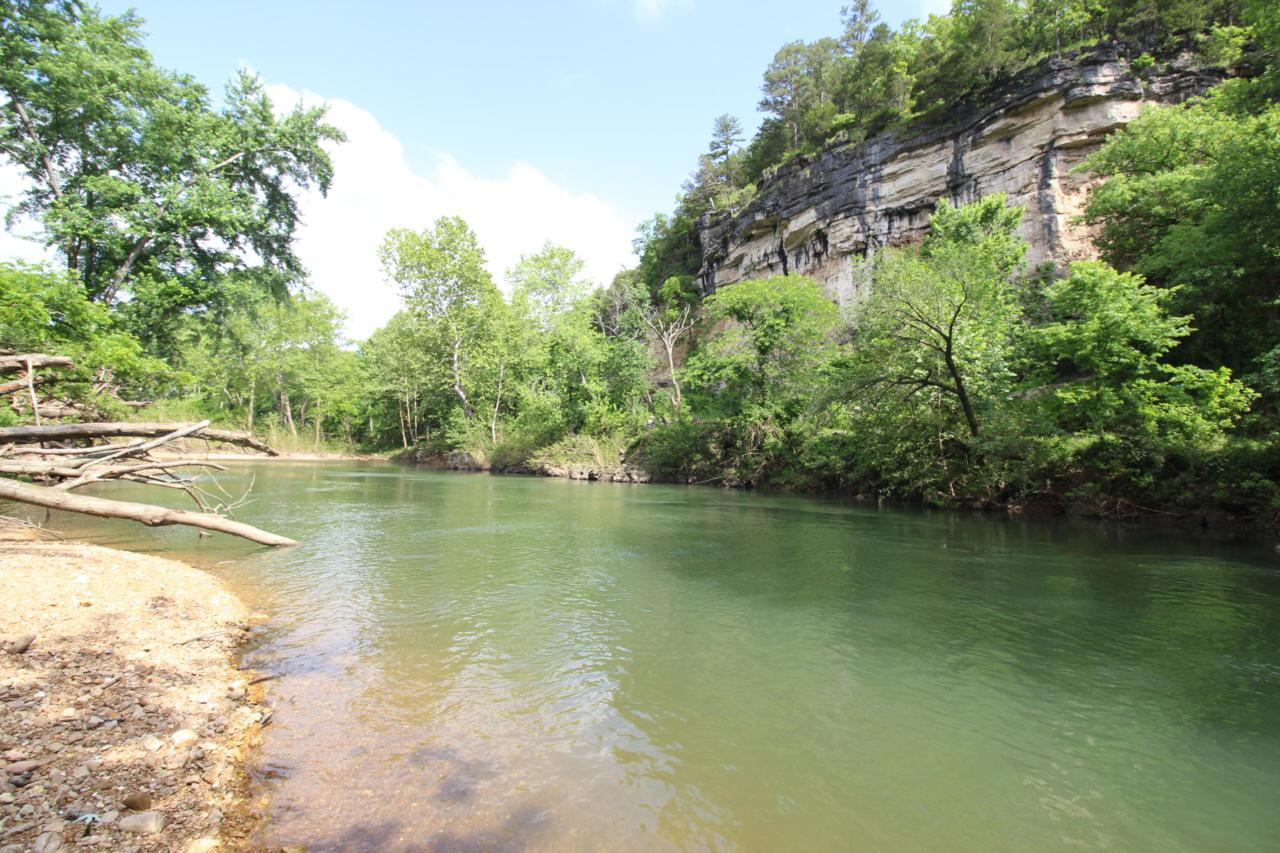 16385 Sand Shoals Rd - Photo 1