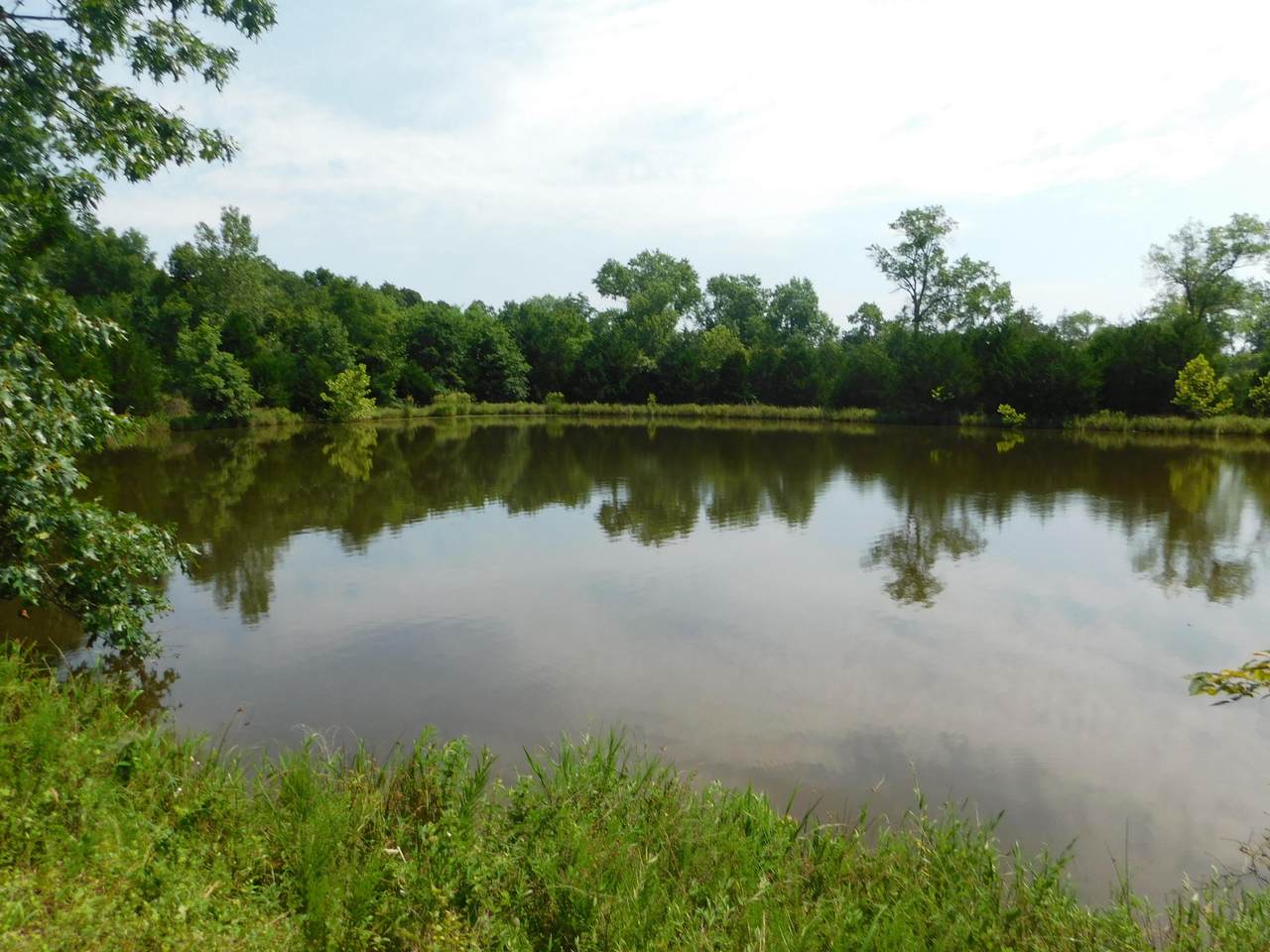 3355 376 Road - Photo 1