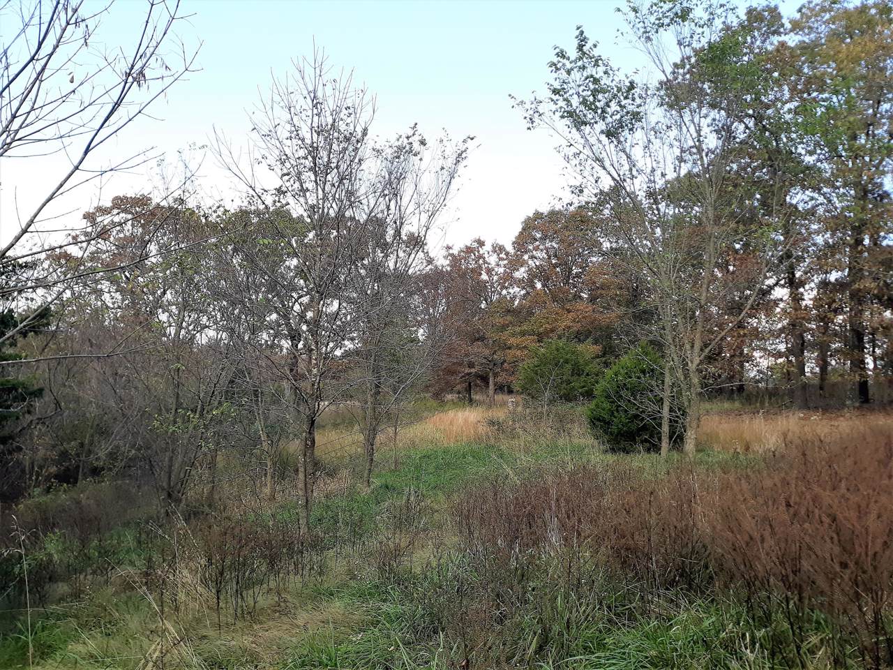 8659 State Highway 95 - Photo 1