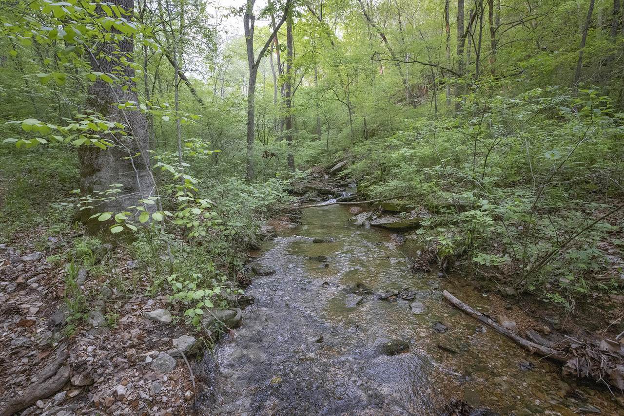 5810 Little Missouri Road - Photo 1