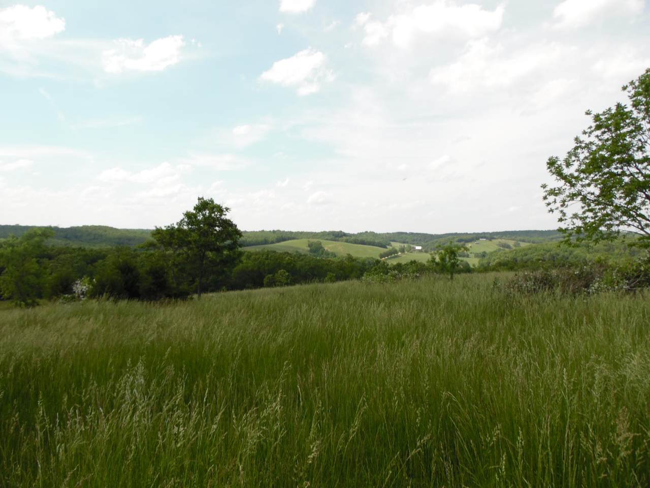 Box 2500 Route 1 - Photo 1