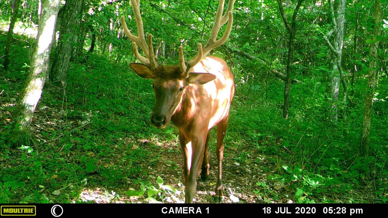 Tbd County Road 549 - Photo 1