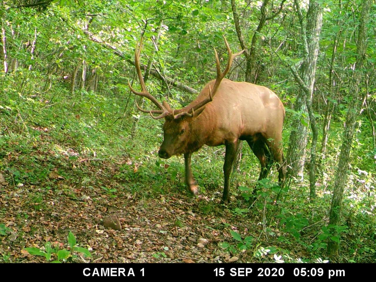 Tbd County Road 549 - Photo 1