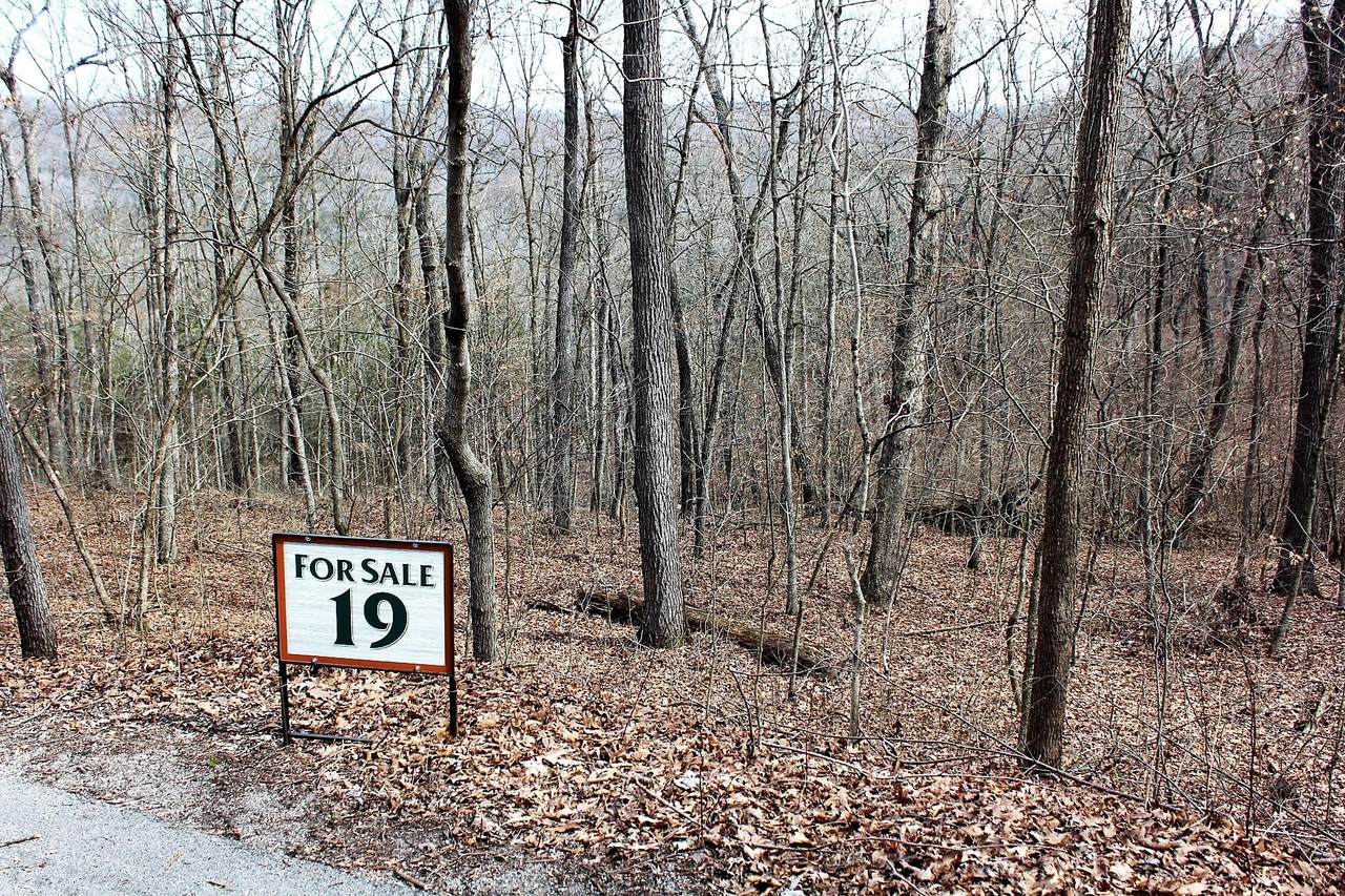 Lot 19 Monticello Road - Photo 1