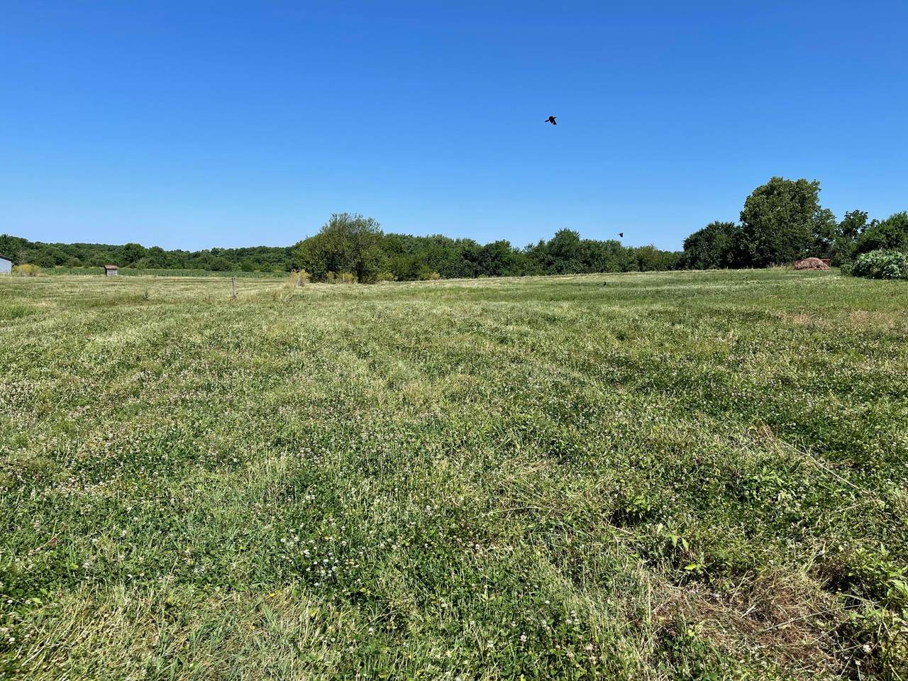 Lot 1 A Lawrence 1100 - Photo 1