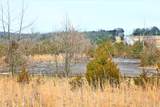 1278 Coon Creek Road - Photo 11