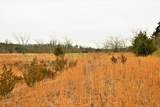 1278 Coon Creek Road - Photo 15