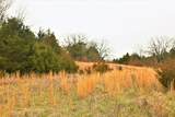 1278 Coon Creek Road - Photo 16