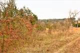 1278 Coon Creek Road - Photo 44