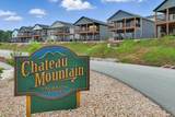 232 Chateau Mountain Hilltop Way - Photo 74