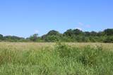 000 Lanton Road - Photo 1