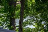 440 Fall Creek Drive - Photo 47