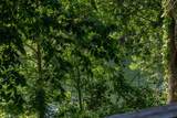 440 Fall Creek Drive - Photo 49